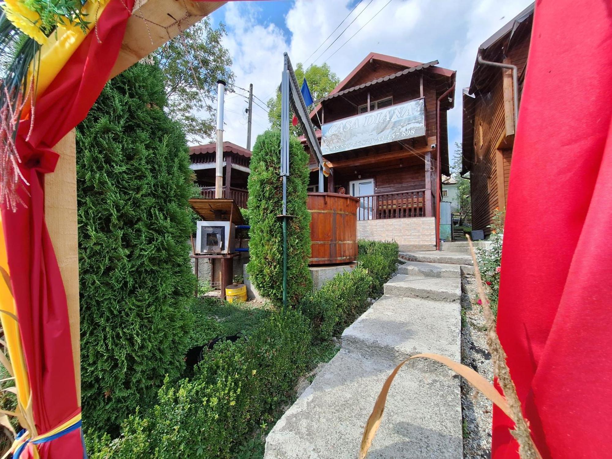 Casa Diana Villa Nucşoara Dış mekan fotoğraf